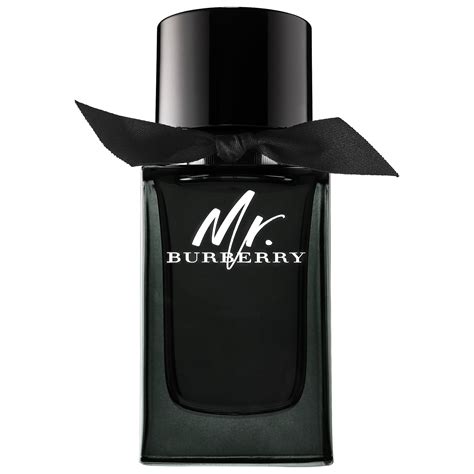 mr. burberry cologne|mr Burberry cologne price.